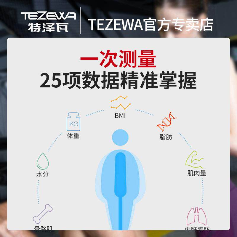 特泽瓦智能人体分析仪健身房健康体脂检测私教工作室用体测仪