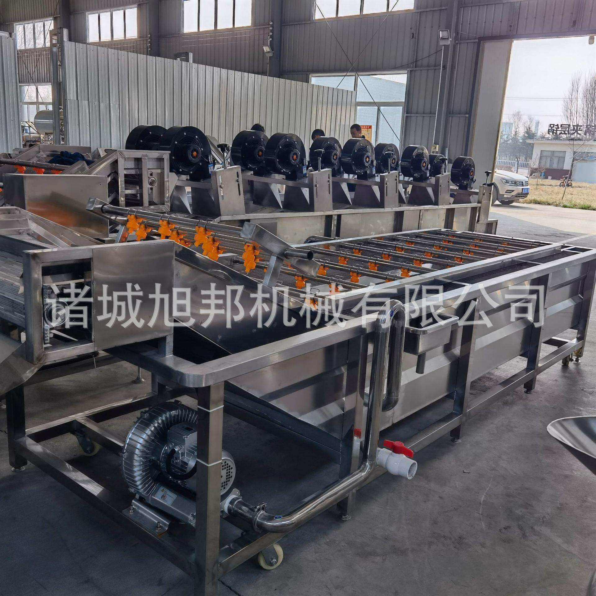 鲜辣椒净菜加工清洗设备 油桃鼓浪气泡清洗机 西红柿循环式洗菜机