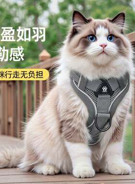猫咪牵引绳防挣脱可调节牵猫绳小型犬猫狗四季通用透气不勒脖胸背