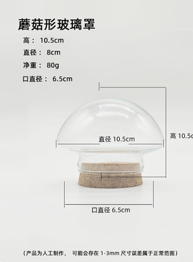 diy玻璃罩软木塞纪念品装饰摆件
