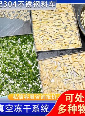 猕猴桃冻干机果蔬通用花椒冻干设备调料真空冷冻干燥机适用多种
