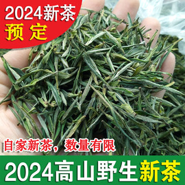 2024新茶野生茶安徽绿茶毛尖春茶宣城溪口高山茶叶清香甘甜250g