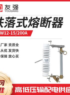 10KV高压跌落式熔断器RW12-15令克开关跌落保险RW11-10/100A高瓷