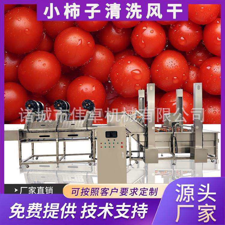 供应哈密瓜气泡清洗机 西瓜清洗机设备 小柿子气泡清洗机设备厂家