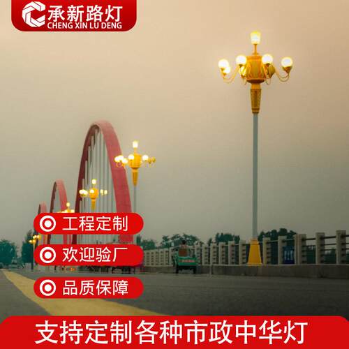 户外莲花造型玉兰灯 广场道路9米led中华灯八叉5火名族文化景观灯