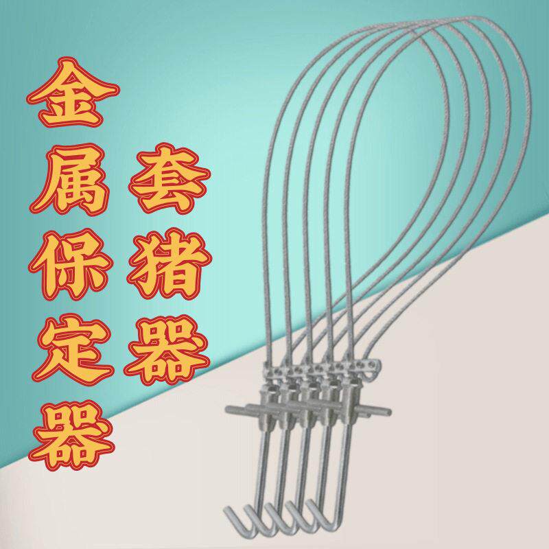套猪器钢丝绳抓猪器保定器打针兽用器械宠物养殖场猪场设备金属款