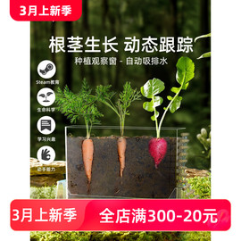 mideer弥鹿阳光房种植儿童科学小实验套装种菜植物生长观察盒玩具