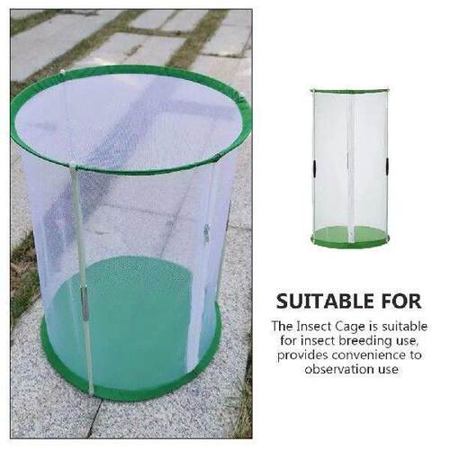 Butterfly Insect Cage Visible Butterflies House Observation