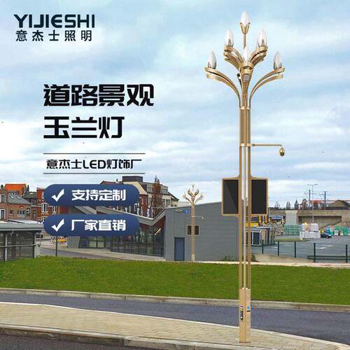 意杰士LED户外市电市政工程景观亮化15M智慧系统中华玉兰道路灯
