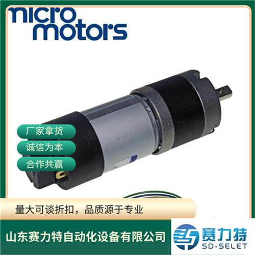 意大利MICRO MOTORS微型直流电机PS150-12-12