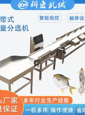 山东科宏皮带式重量分选机鱿鱼串鲳鱼海鲜类智能分选