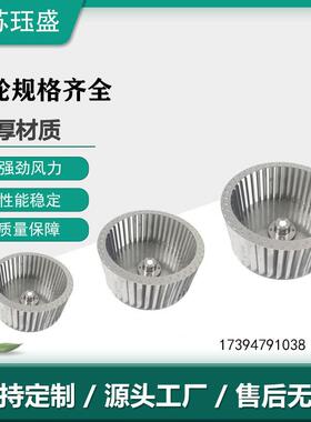 不锈钢离心叶轮多翼式离心风轮小离心风插PKO离型心风轮片叶风轮