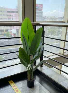 21075-12植工厂店仿真绿植旅人具蕉栽大叶子散葵盆物造景拍摄道轻