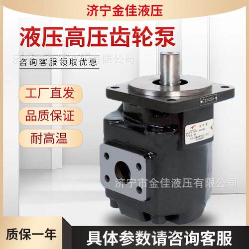 源头厂家供应JHP2液压泵起重机压路机泵耐压泵