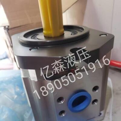 ECKERLE艾可勒EIPC6-160A23-11齿轮泵890-EI-1600-RK2C601-00油泵