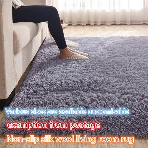 Living Room Carpet bedroom Soft Rug Carpets floor mats
