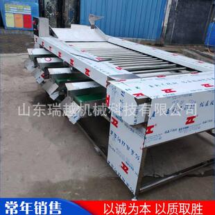 厂家工业金桔选果机大型不锈钢苹果分级机商用橙子筛选机