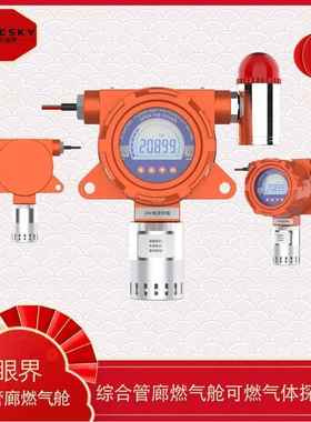 臭氧浓度仪固定式O3检测仪抽烟浓度檢測仪ES10B-03气体分析仪