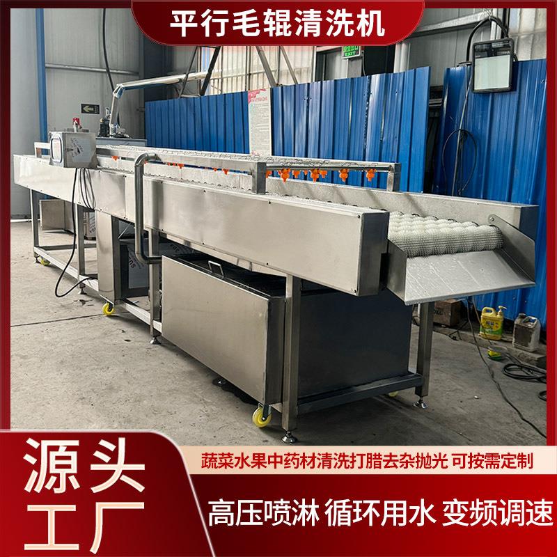 海蛎子毛刷清洗设备黄桃毛桃橙子清洗机器连续式平行毛辊清洗机