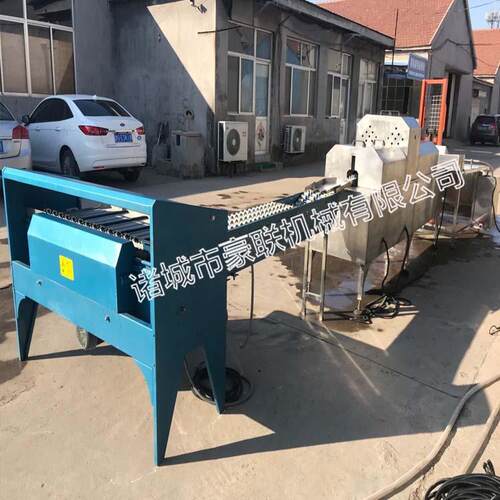 盐水蛋清洗线毛刷+喷淋冲洗海鸭蛋设备全自动洗蛋机