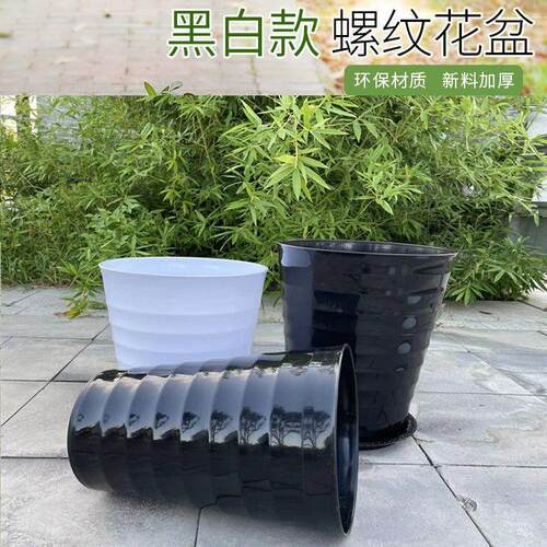 家用特物大号黑白色螺纹花卉金黑白色螺钱树花盆厅约树脂植客阳台
