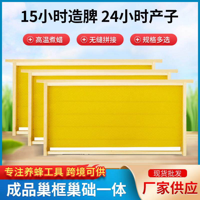 中蜂巢框巢础框础一体蜜意蜂框巢础蜜蜂蜂房中具蜂蜂巢养蜂工YUH