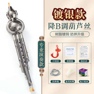 bc调丝初学者镀银镀铜芦演奏型专业小学生调胡葫芦降民族乐器丝