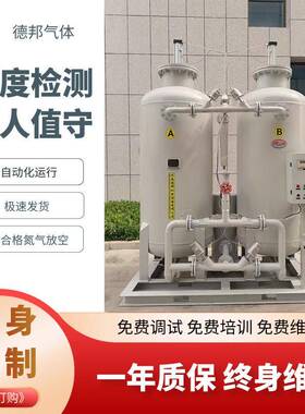 山东制氮机变压吸附制氮设备PSA制氮机发生器高纯度工业制氮机