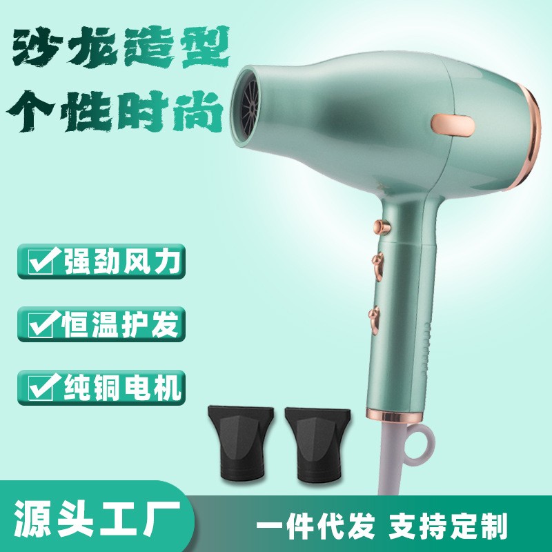 大功率发廊轻巧电吹风高速电机专业造型家电家用跨境英规欧规