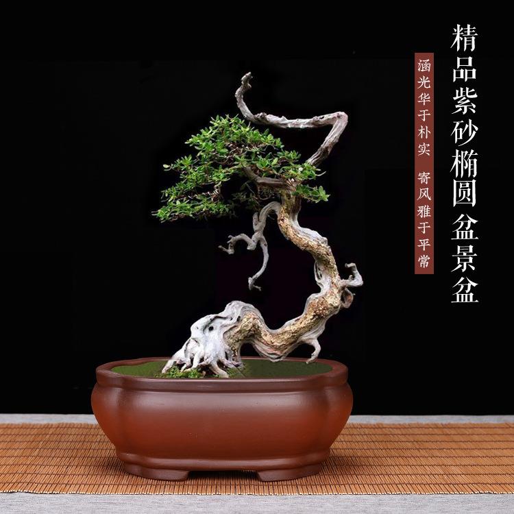 宜兴紫砂花盆精品小盆景古典长方形马槽多肉菖蒲矮种室内桌面特价