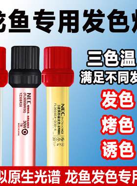 nec鱼缸灯鱼缸专用发色灯龙鱼专用灯红龙增色照明专用鱼缸led防水