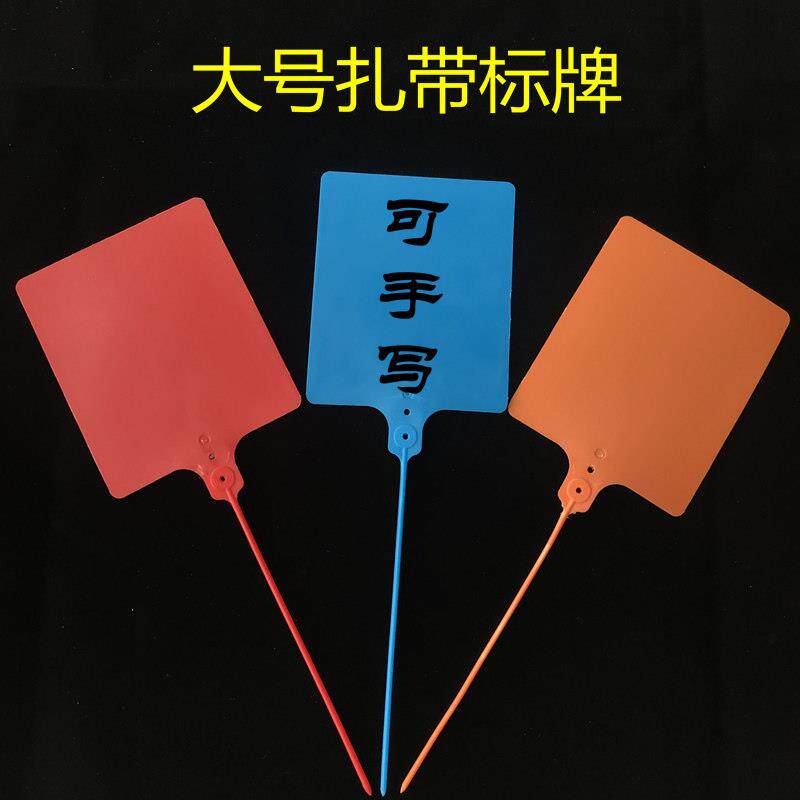 大号标牌百世物流面单吊牌韵达快递挂签塑料封条手写标识标签扎带