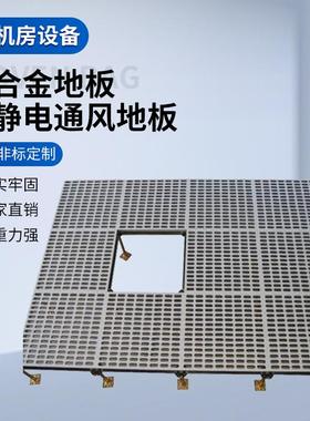 铝合金防静电地板600600机房净化室孔板盲板蜂窝板防静电通风地板