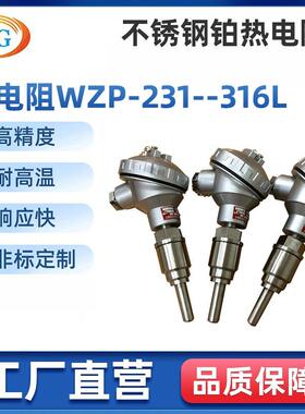 厂家专业供应配安装底座测温用铂热电阻WZP-231/316L