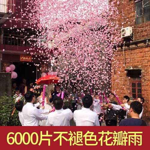 花瓣雨结婚礼炮礼花筒礼筒炮彩带喷手拧花筒喷花婚礼婚庆用品大全