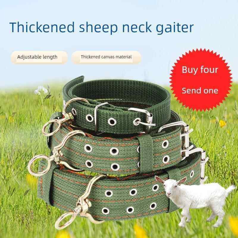 采购产品羊项圈肥羊安全扣脖子项圈绳子大狗羊脖子工艺品羊饲养用,汽车用品/电子/清洗/改装,其它车用清洗工具/用品,淘宝优惠券,粉丝福利购,淘宝优惠卷