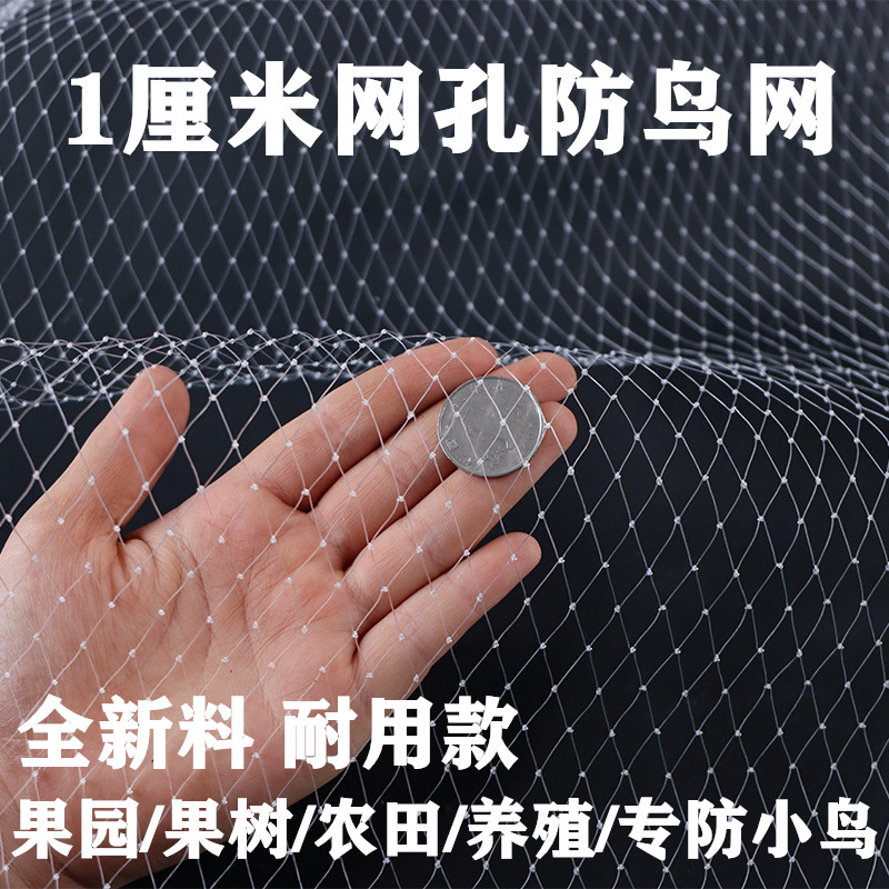 精品小网孔果树防鸟网果园天网尼龙网农用防鸟丝网樱桃嘉宝果树防