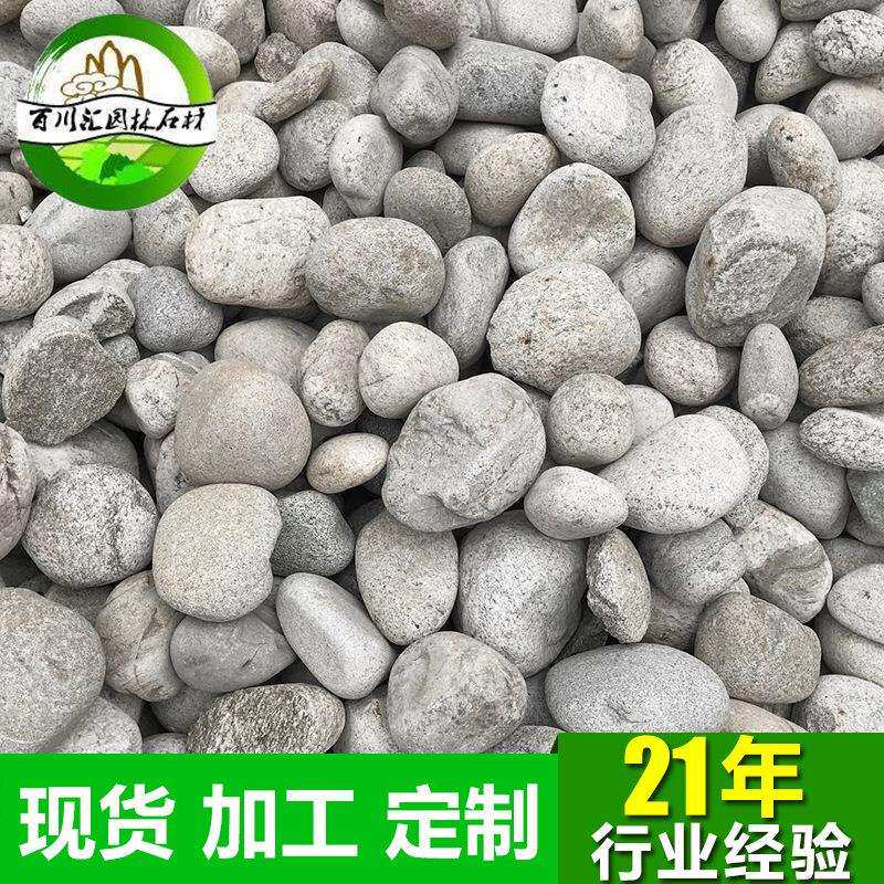 厂家直销 现货白麻石米 机制白麻石米 白色花岗岩 白麻石