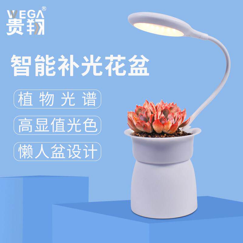 全光谱植物生长灯LED桌面植物灯USB智能补光花盆耐热玻璃植物灯