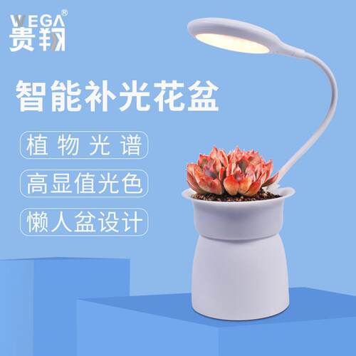 全光谱植物生长灯LED桌面植物灯USB智能补光花盆耐热玻璃植物灯