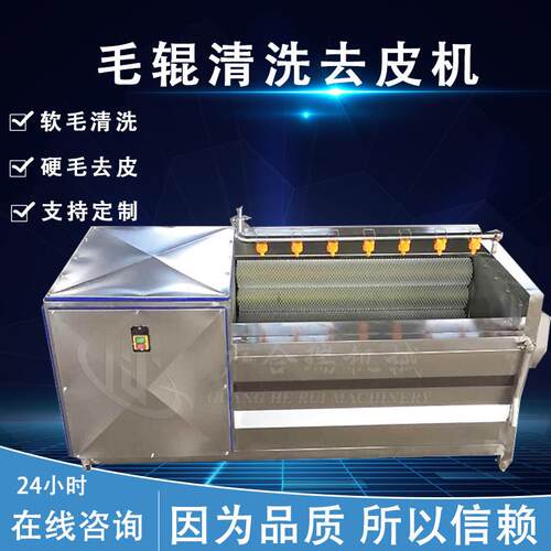 毛辊清洗去皮清洗机中药材去泥清洗设备猪蹄羊蹄清洗去杂机械