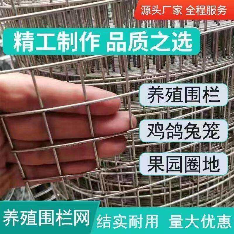 铁丝网围玉栏镀锌电焊网养殖网阳台隔网片防防护网建鼠筑网米OPG