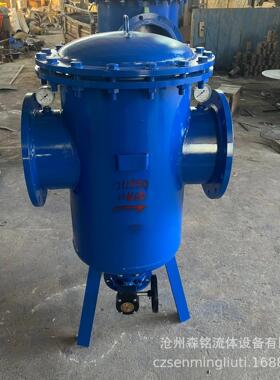 加工定制篮式过滤器管道直通除污器污水处理设备不锈钢提篮滤芯