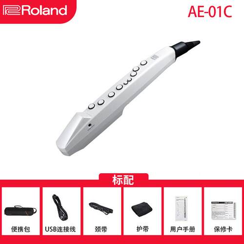 正品Roland罗兰娱电吹 管乐器AE0C1AE05电子萨克斯乐初学管乐葫芦
