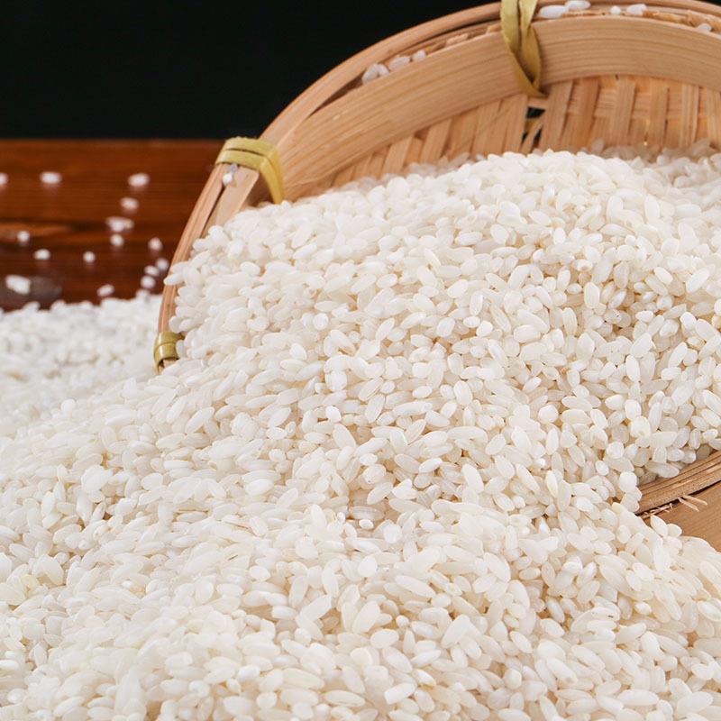 新农家糙早稻米早籼米不粘不糯肠粉凉糕米豆腐凉皮粉专用贵桂朝米