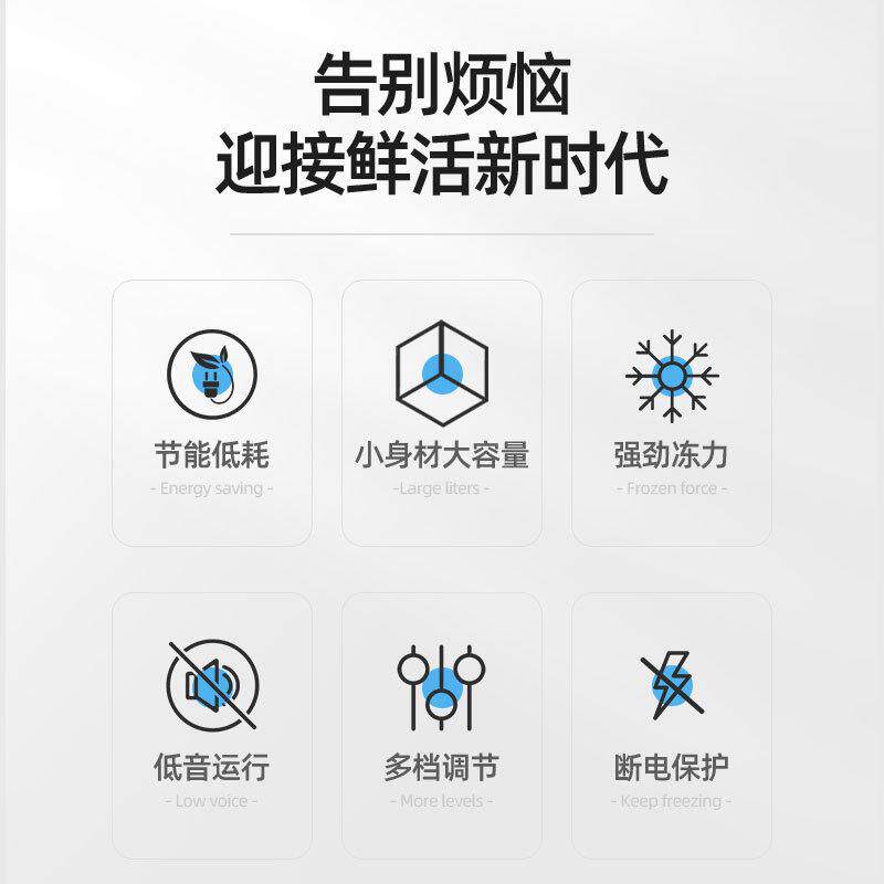 申花节能小冰柜家用全冷冻小型迷你省电保鲜冷藏冷冻两用冷柜