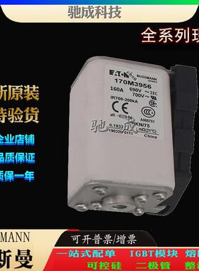 巴斯曼170M3955 170M3956 170M3957 厂家直供价优 方体熔断器