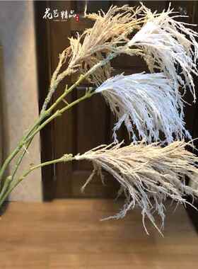 原色白色芦苇干假花吊花狗尾草仿真花婚庆屋CEH顶垂田芦园绢花 苇