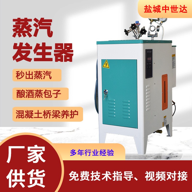 粮食酿酒用全自动电加热蒸汽发生器桥梁混凝土养护干洗店服装熨烫