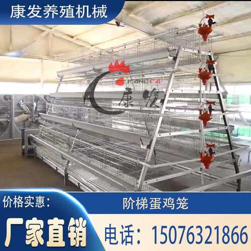 厂家直销A型蛋鸡笼热镀锌全自动清粪养鸡设备三层四层阶梯式鸡笼